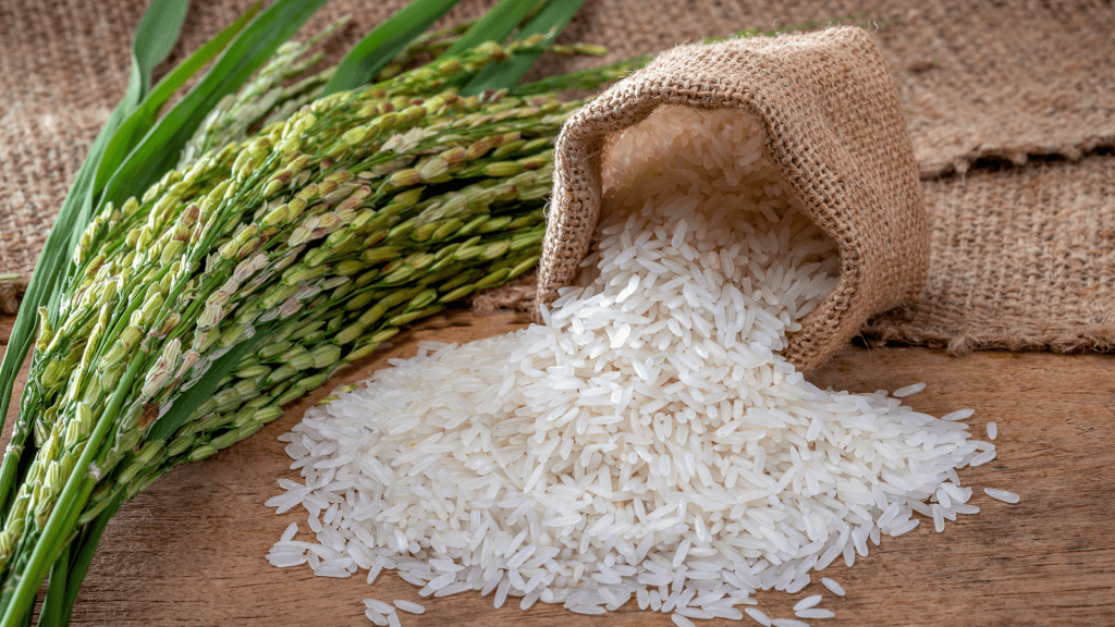 arroz artesanal de Valencia