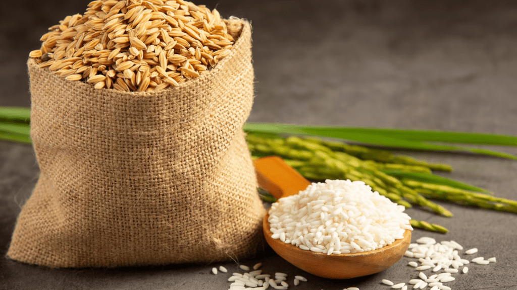 proceso tradicional del arroz valenciano